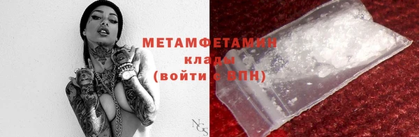 прущие грибы Зеленодольск