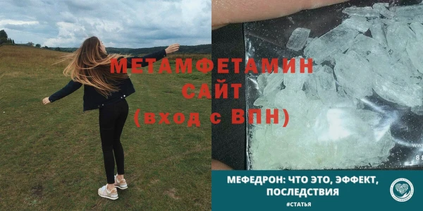 прущие грибы Зеленодольск