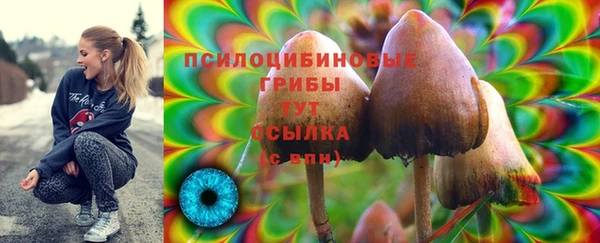 Альфа ПВП Зерноград