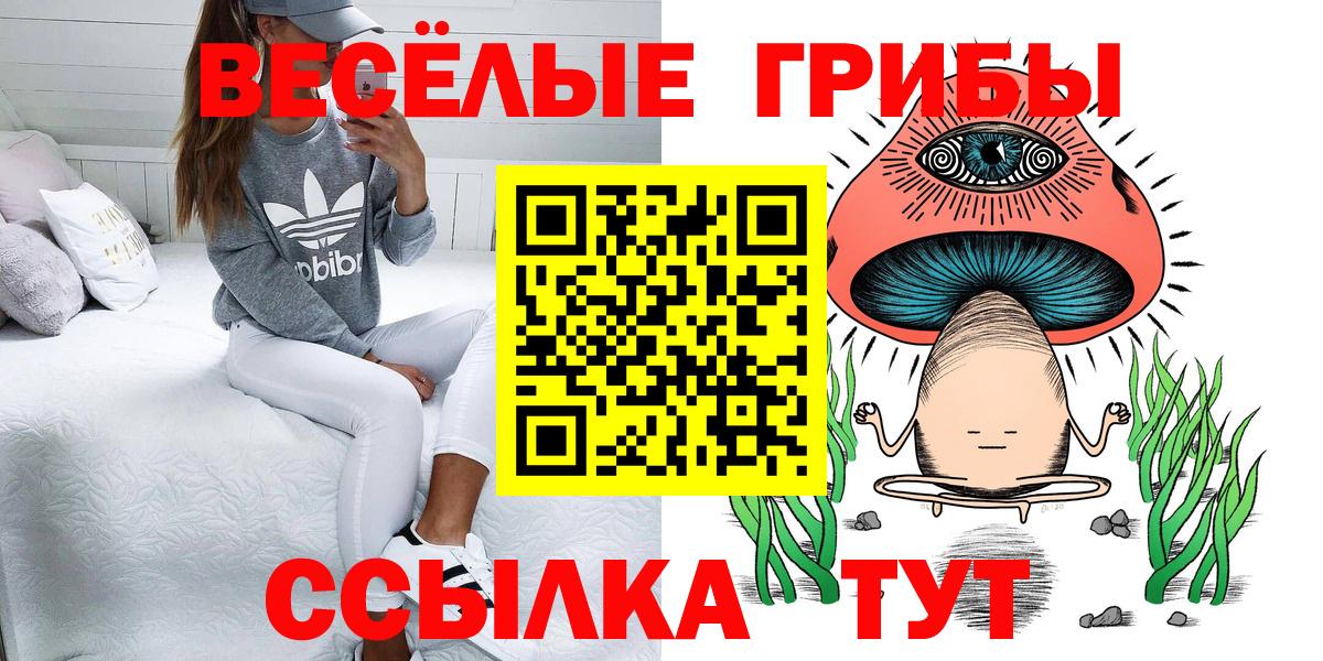 Галлюциногенные грибы Psilocybe  Вход с VPN  Псилоцибиновые грибы Psilocybine cubensis  Кириши 