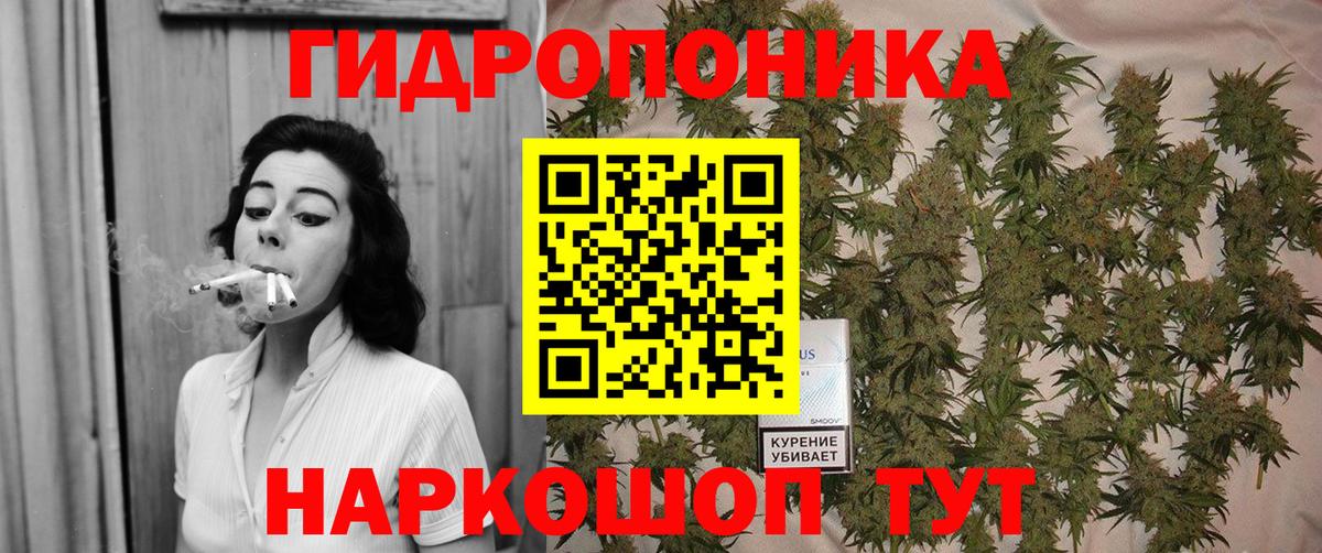Кириши  Канабис White Widow  Конопля Ganja  Вход с VPN  Бошки марихуана Bruce Banner  Канабис ГИДРОПОН 